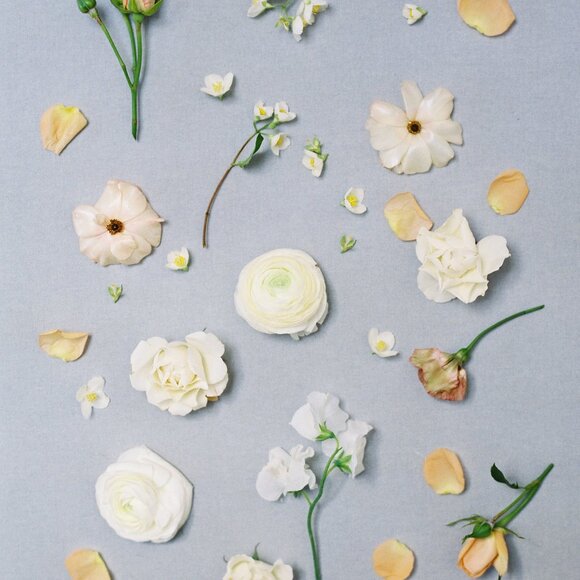 Meet your Posher 🤗 - Picture 1 of 1